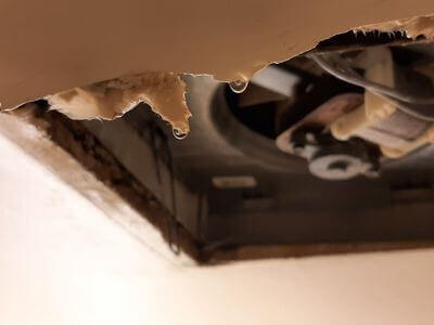 Professional emergency flood repair services in Denver